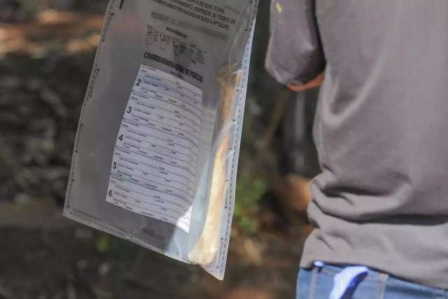 Primeira v&iacute;tima &quot;desovada&quot; em terreno &eacute; homem que foi morto a pauladas