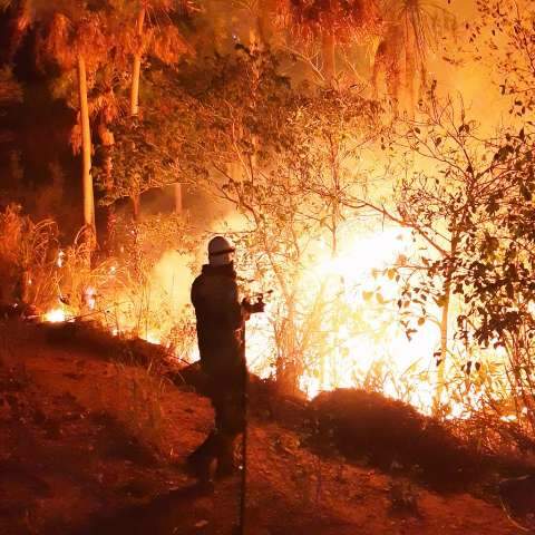 Em terra ou pelo c&eacute;u, combate ao fogo que j&aacute; devastou 32 mil hectares &eacute; intenso