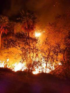 Incêndio em vegetação na região do &#34;Buraco das Piranhas&#34;. (Foto: Corpo de Bombeiros)