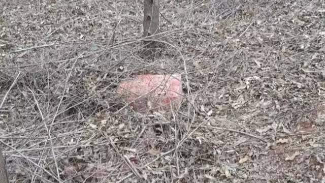PRF encontra mais de 780 kg de drogas abandonados em propriedade rural