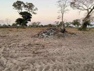 PMA encontrou amontoados de vegetação queimados em fazenda. (Foto: Divulgação/PMA)
