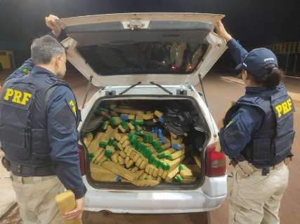 Da rodovia à cidade: em 5 horas polícia apreende 1,2 tonelada de maconha