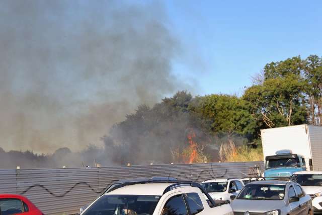 Bombeiros combatem fogo em &aacute;rea de quase 2 hectares na regi&atilde;o da Vila Carvalho