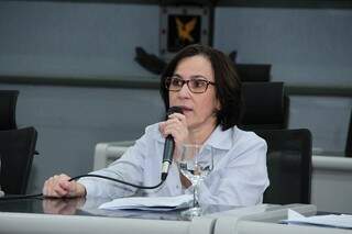 Defensora pública de Segunda Instância Jane Inês Dietrich coordena Nuccon (Foto: Defensoria Pública de MS/Divulgação)