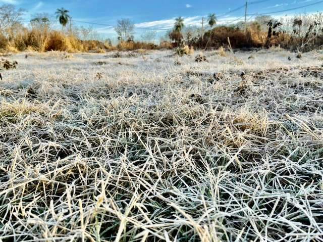 Estado registra -2,2&ordm;C e amanhece com campo coberto de gelo na regi&atilde;o Sul