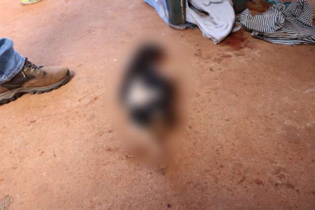 Homem &eacute; preso depois de amea&ccedil;ar ex-mulher e degolar cachorro em MS
