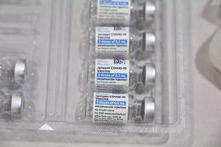 Vacinas da Janssen. (Foto: Paulo Francis/Arquivo)
