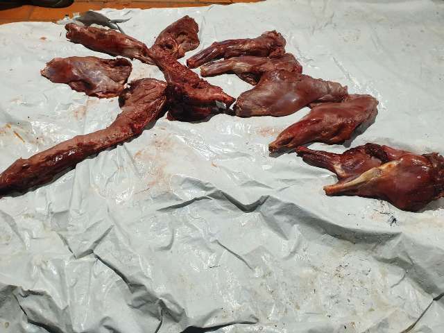 Construtor &eacute; preso ao ser flagrado com carne de animal silvestre em abordagem