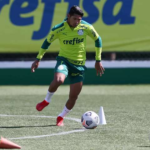 Palmeiras e Flamengo defendem vantagem nas oitavas da Libertadores