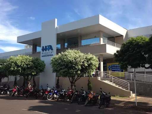 Homem morre ap&oacute;s sofrer queda ao escalar &aacute;rvore para colher manga 