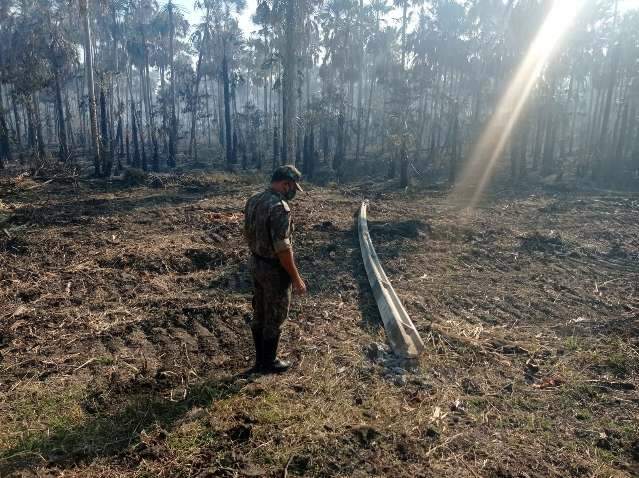 Fazendeiro diz que queda de poste causou inc&ecirc;ndio em 821 hectares de vegeta&ccedil;&atilde;o