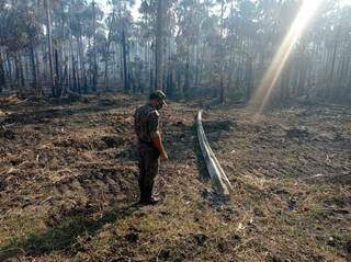 Poste de energia elétrica que teria causado o incêndio em seis fazendas (Foto: Divulgação/PMA)