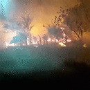 Vídeo mostra queimada que impressiona e ameaça casas no Coronel Antonino
