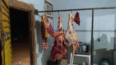 Trio é preso com 180 kg de carne imprópria, arma e munições para abate de gado