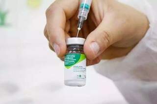 Profissional de saúde aspira dose de ampola de imunizante (Foto: Henrique  Kawaminami/Arquivo)