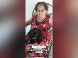 Luxinho segue desaparecido e deixa dona de 90 anos abatida. (Foto:Arquivo Pessoal)