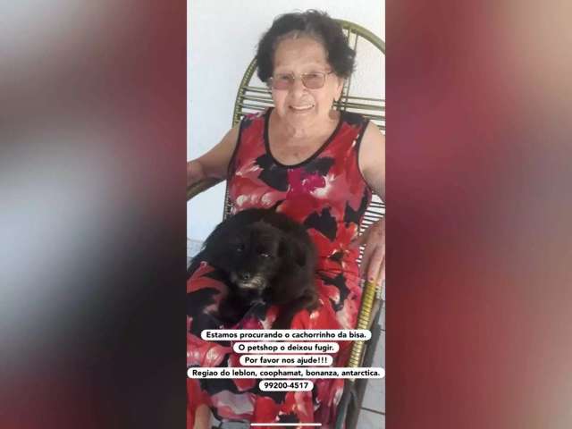 Pet shop deixa dois cachorros fugirem em menos de um m&ecirc;s