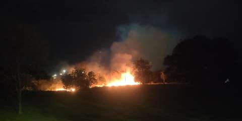 Incêndio se alastra por vegetação e ameaça ponte de madeira no Parque Sóter 
