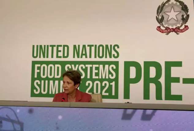 Ministra representa Brasil em debate sobre sistemas alimentares