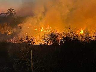 Incêndio na região do Pantanal no começo do mês (Foto: Divulgação | CBMMS)