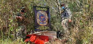 Agentes da Senad paraguaia ao lado de pacotes de maconha encontrados em mata (Foto: Divulgação)