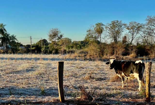 Capital pode amanhecer quinta com geada e ter o dia mais frio do ano