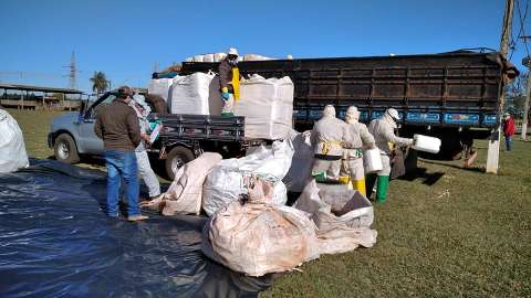 Pequenos produtores entregam 4,9 toneladas de embalagens de agrotóxicos
