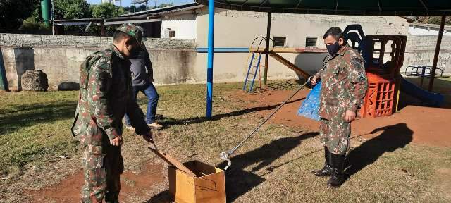 Filhote de jiboia &eacute; capturado em p&aacute;tio de escola particular 