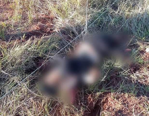 V&iacute;deo: corpos de militares foram destro&ccedil;ados por bomba enterrada na estrada