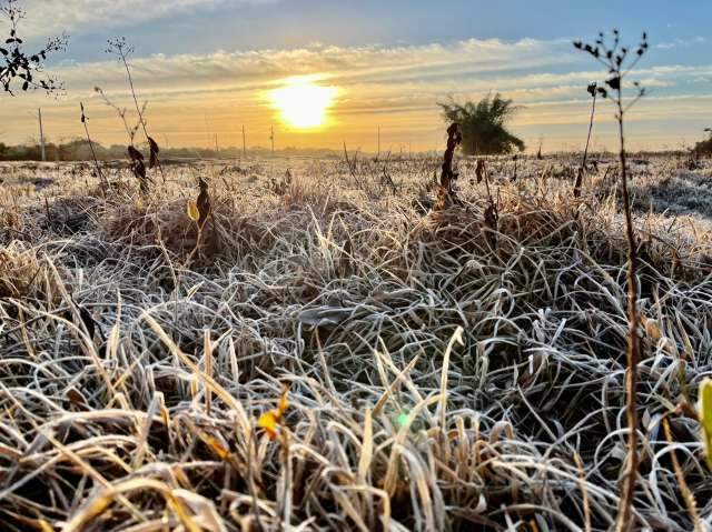 Rio Brilhante tem menor temperatura do ano, 2,2 graus negativos