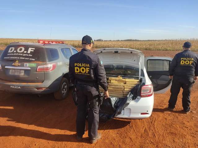 Desempregado, homem &quot;investe&quot; no tr&aacute;fico, mas acaba preso com 450 Kg de maconha