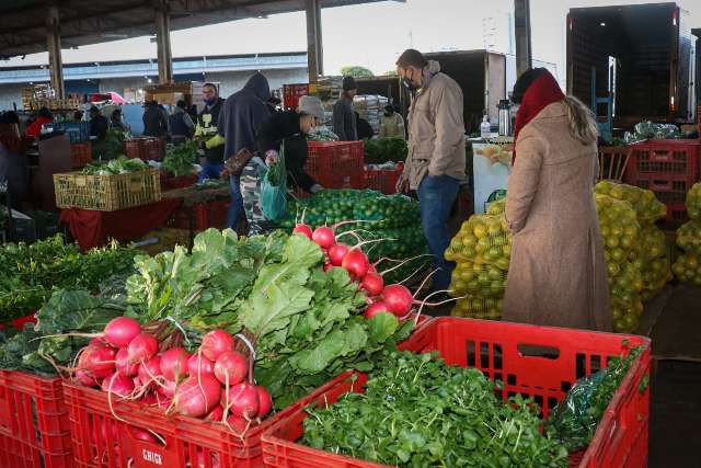 Na Ceasa, efeito da queda de temperatura &eacute; alta de pre&ccedil;os em at&eacute; 85% 