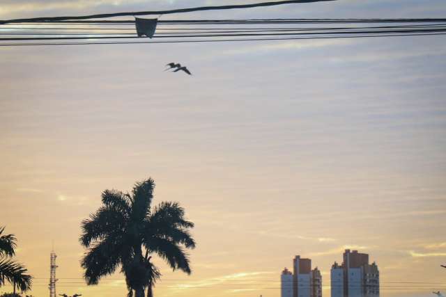 S&aacute;bado come&ccedil;a com sensa&ccedil;&atilde;o t&eacute;rmica de 5&ordm;C e m&aacute;xima chega aos 29&ordm;C em MS