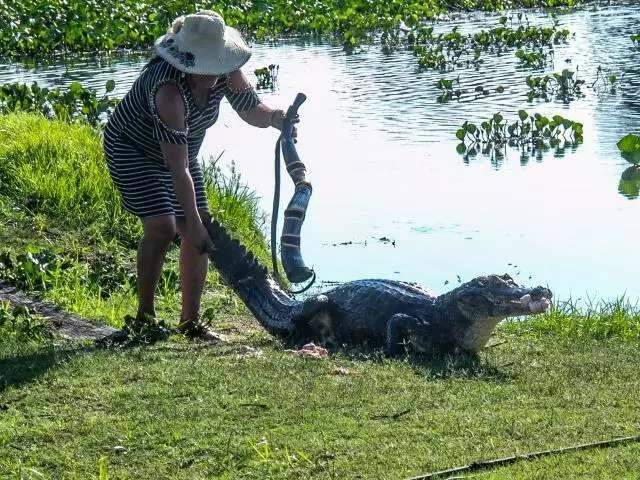 Ap&oacute;s queda em casa, Maria do Jacar&eacute; morre aos 68 anos 