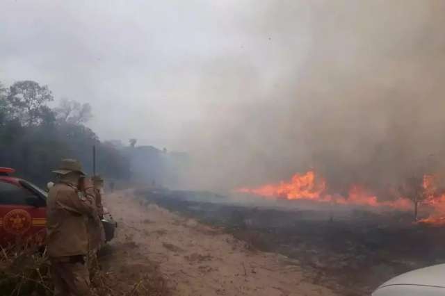 Frio d&aacute; falsa sensa&ccedil;&atilde;o de controle e situa&ccedil;&atilde;o &eacute; de alerta no Pantanal