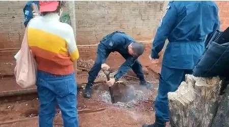 Sobrinha que matou tio continua presa e comparsa &eacute; solto