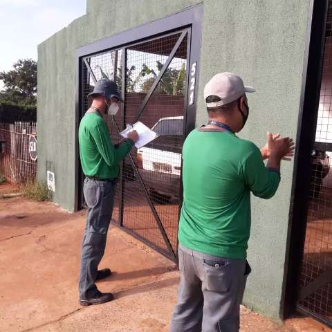 De porta em porta, CCZ vacina animais contra a raiva a partir de segunda-feira