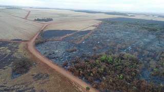 Extensa área foi destruída pelo fogo provocado pela empresa. (Foto: PMA)