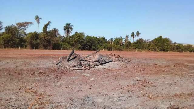 Arrendat&aacute;rio flagrado colocando fogo em vegeta&ccedil;&atilde;o &eacute; multado em R$ 253 mil