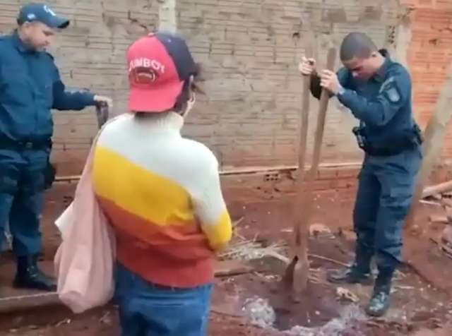 &ldquo;Era muito atrevido&rdquo;, disse sobrinha sobre tio que ela matou e depois enterrou
