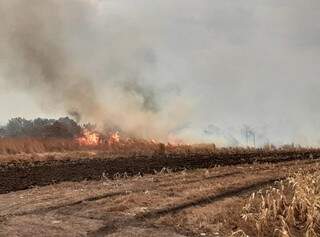 Incêndio ocorrido em julho, na região do Banhado do Rio da Prata, em Bonito (Foto: Fundação Neotrópica)