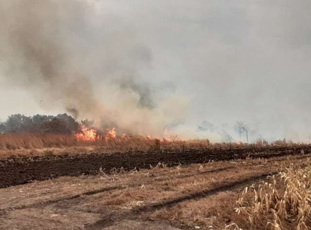 Governo federal homologa emerg&ecirc;ncia por inc&ecirc;ndios em sete munic&iacute;pios de MS