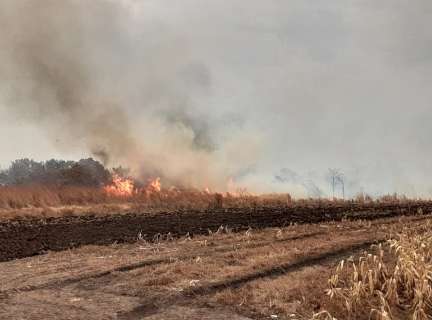 Governo federal homologa emergência por incêndios em sete municípios de MS