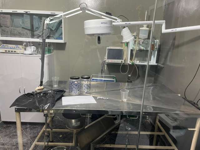 Castra&ccedil;&atilde;o de c&atilde;es e gatos a R$ 50 terminava com animais sem pontos cir&uacute;rgicos 