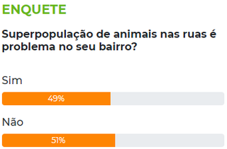 Ao menos 49% dos leitores sofrem com superpopula&ccedil;&atilde;o de animais na rua