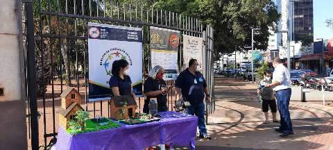 Prefeitura encerra semana de conscientiza&ccedil;&atilde;o com Dia D de combate &agrave; dengue 
