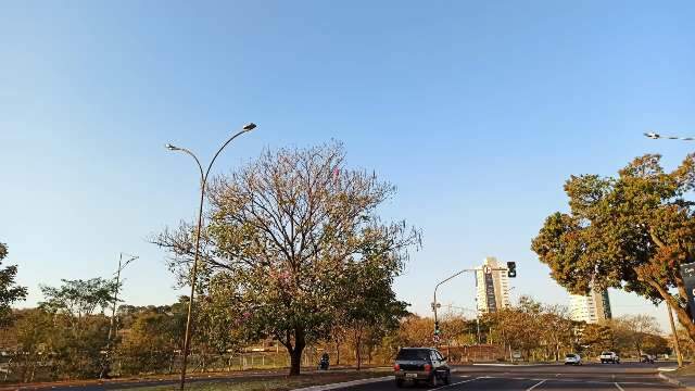 Sem chuva, tempo seco predomina e calor pode chegar aos 35&deg;C em MS