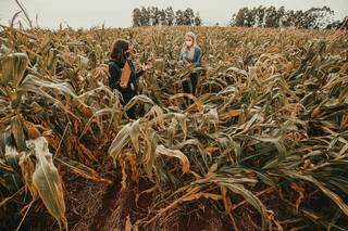 As baixas temperaturas atrasaram a perda de umidade das lavouras e postergam ainda mais a colheita, principalmente no PR e MS. (Foto: Divulgação Rally da Safra)