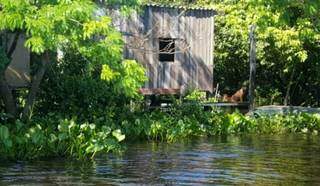 Comunidade ribeirinha em época de cheia do Pantanal. (Foto: Divulgação)