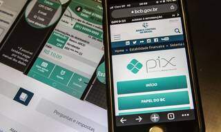 Pix é ferramenta criada para transferências bancárias instantâneas e sem taxa. (Foto: Marcello Casal Jr./Agência Brasil)